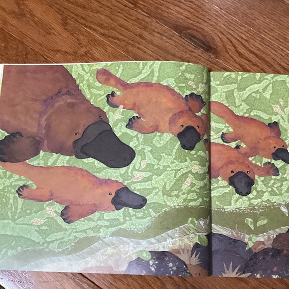 Over in Australia Book & Koala Plush - Picture 12 of 15